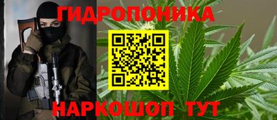 apvp Кунгур